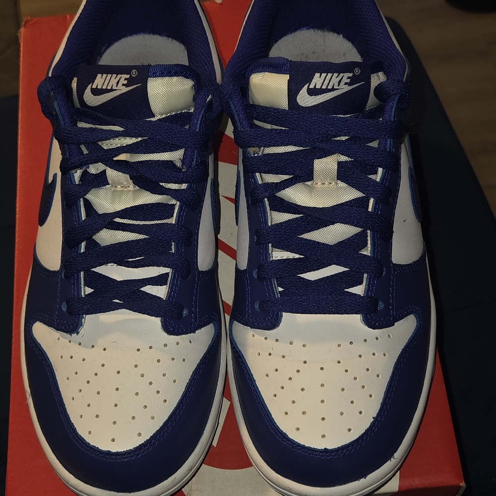 Nike Dunk Low Retro Casual Shoes BLUE